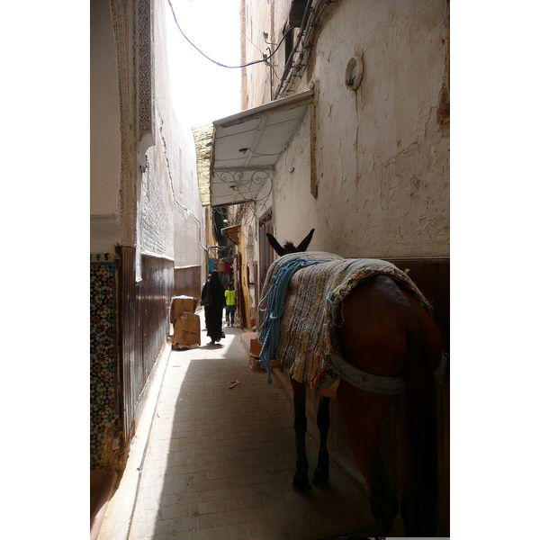 Picture Morocco Fes 2008-07 30 - Journey Fes