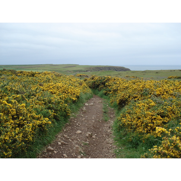 Picture United Kingdom Pembrokeshire Martins Havens 2006-05 14 - History Martins Havens