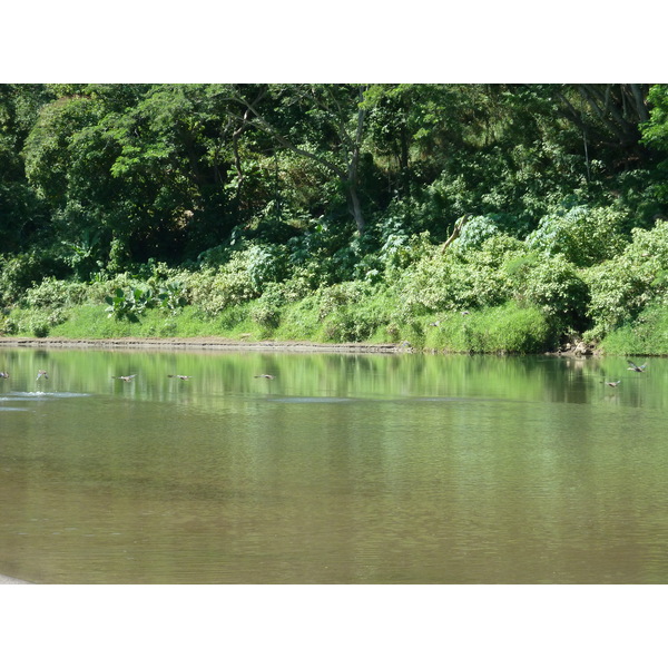 Picture Fiji Sigatoka river 2010-05 3 - History Sigatoka river