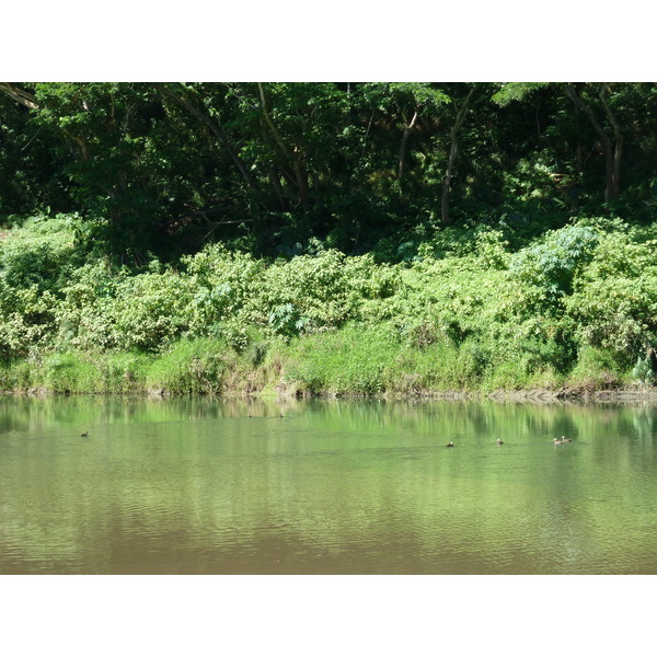 Picture Fiji Sigatoka river 2010-05 88 - Around Sigatoka river