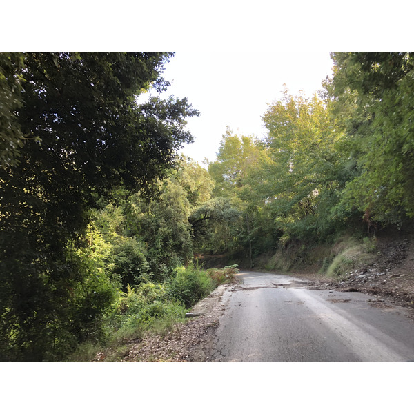 Picture France Corsica San Giuliano 2018-09 8 - Around San Giuliano