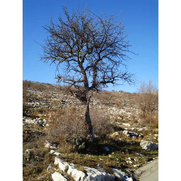 Picture France French Riviera Col de Vence road 2007-01 65 - Tour Col de Vence road