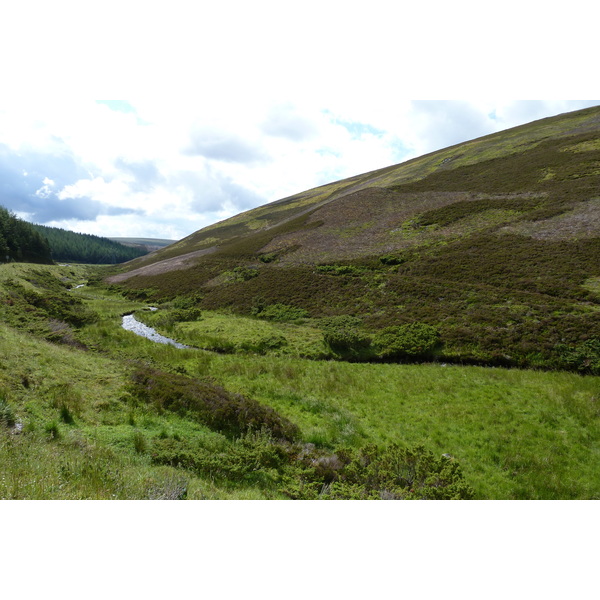 Picture United Kingdom Cairngorms National Park 2011-07 26 - Tours Cairngorms National Park