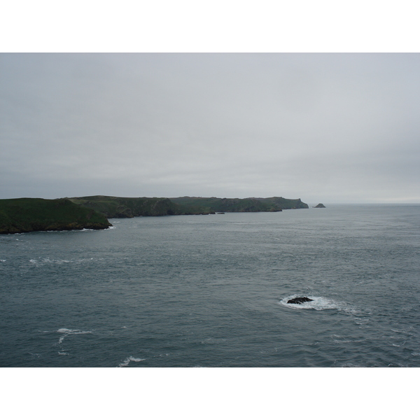 Picture United Kingdom Pembrokeshire Martins Havens 2006-05 23 - Discovery Martins Havens