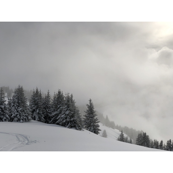 Picture France Praz sur Arly 2019-12 465 - Around Praz sur Arly