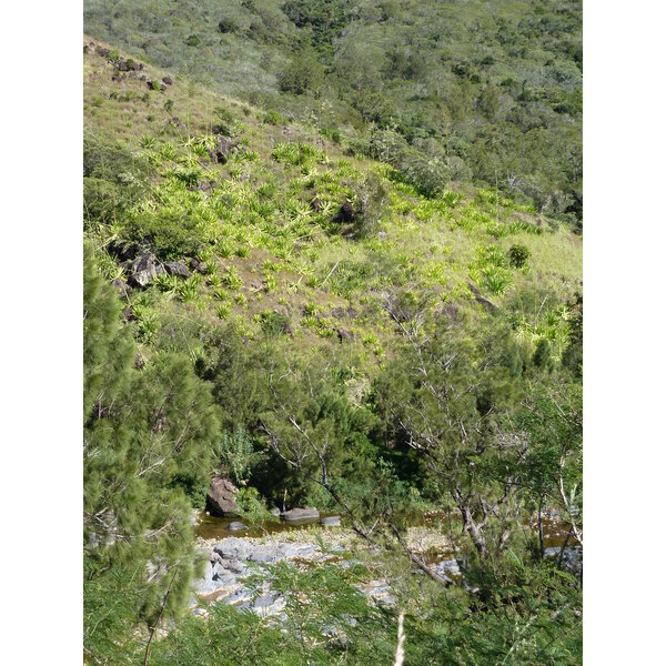 Picture New Caledonia Tontouta to Thio road 2010-05 19 - Discovery Tontouta to Thio road