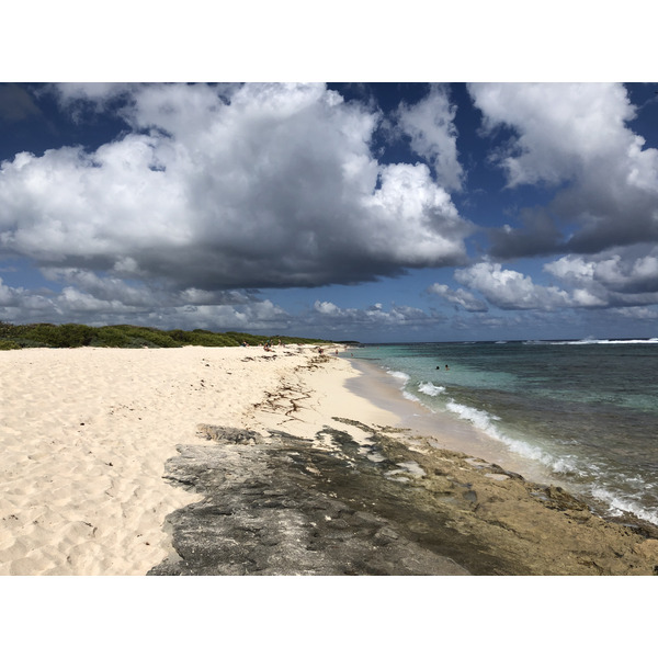 Picture Guadeloupe Grande Anse des Salines Beach 2021-02 7 - History Grande Anse des Salines Beach