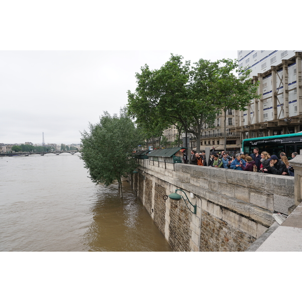 Picture France Paris Seine river 2016-06 51 - Center Seine river