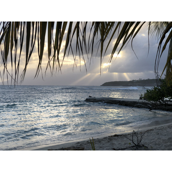 Picture Guadeloupe Sainte Anne 2021-02 37 - Discovery Sainte Anne