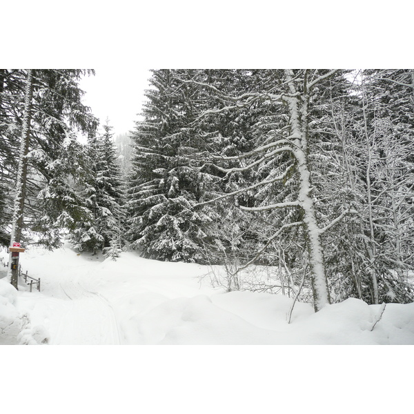 Picture France Megeve Le Planay 2010-02 38 - Discovery Le Planay