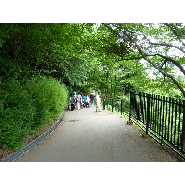 Picture Japan Kyoto Kiyomizu Dera Temple 2010-06 62 - Tour Kiyomizu Dera Temple