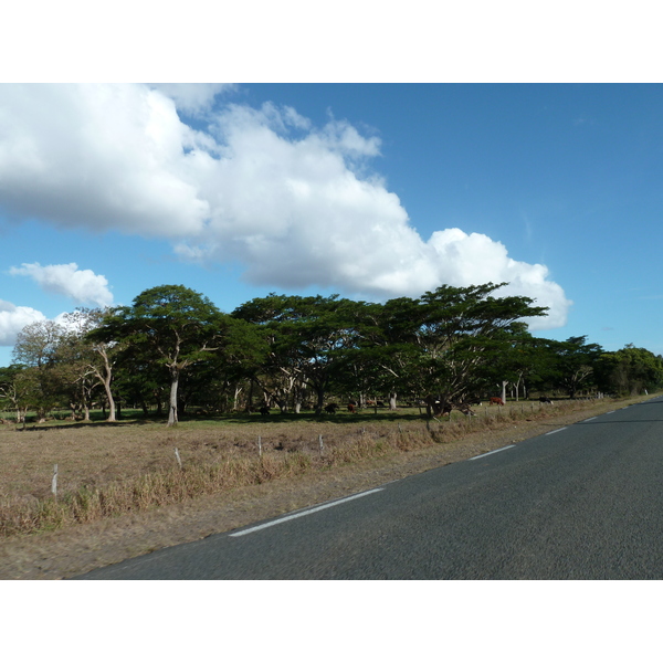 Picture New Caledonia Canala to La Foa road 2010-05 39 - Tour Canala to La Foa road