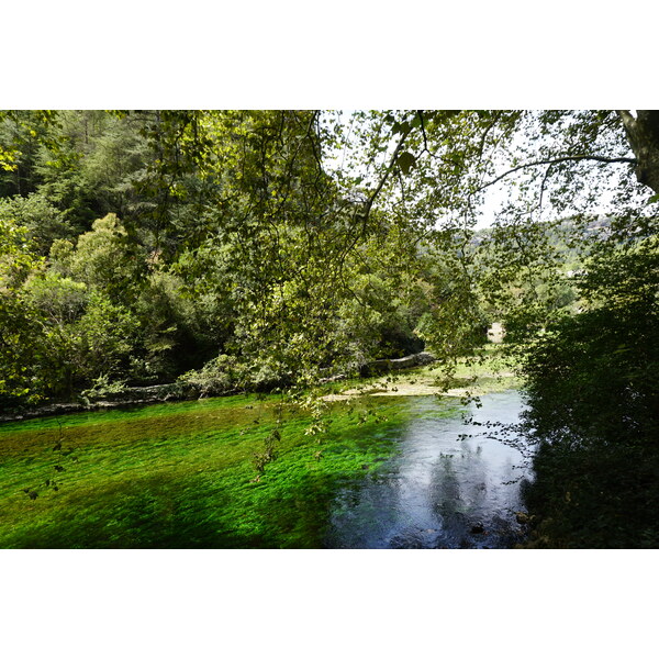 Picture France Fontaine-de-Vaucluse 2017-08 1 - Tours Fontaine-de-Vaucluse