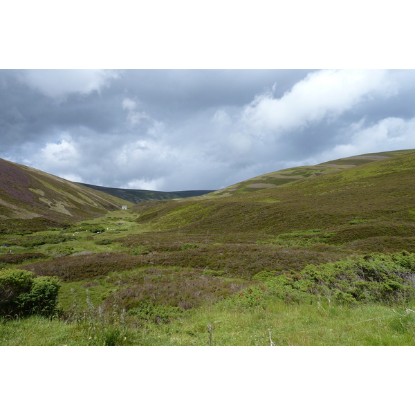 Picture United Kingdom Cairngorms National Park 2011-07 13 - Tours Cairngorms National Park