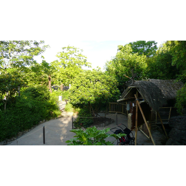 Picture France Disneyland Paris La Cabane des Robinson 2007-07 6 - Discovery La Cabane des Robinson