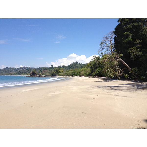 Picture Costa Rica Manuel Antonio 2015-03 313 - Tours Manuel Antonio