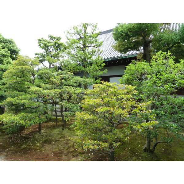 Picture Japan Kyoto Nijo Castle 2010-06 32 - Center Nijo Castle