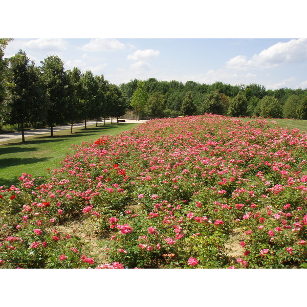 Picture France Villeneuve La Garenne Parc des Chanteraines 2007-07 7 - History Parc des Chanteraines