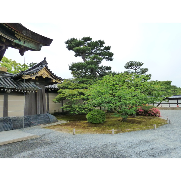 Picture Japan Kyoto Nijo Castle 2010-06 43 - Discovery Nijo Castle