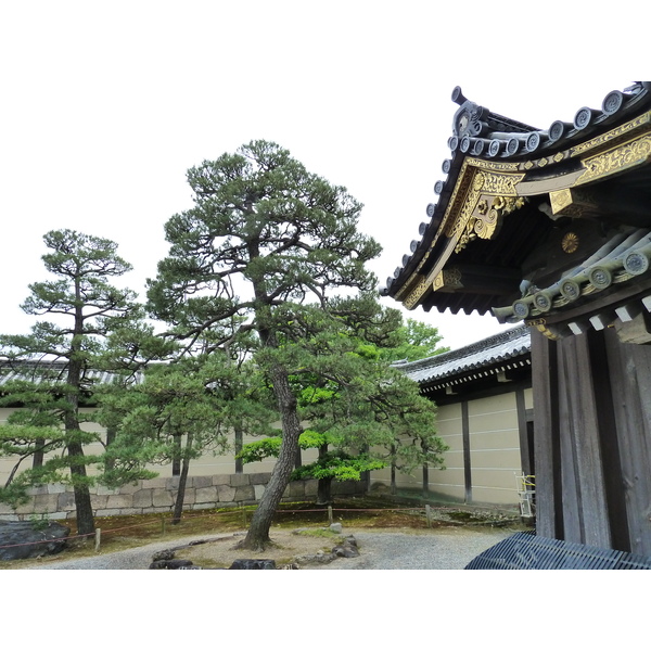 Picture Japan Kyoto Nijo Castle 2010-06 16 - Journey Nijo Castle