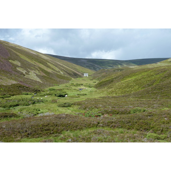 Picture United Kingdom Cairngorms National Park 2011-07 9 - Discovery Cairngorms National Park