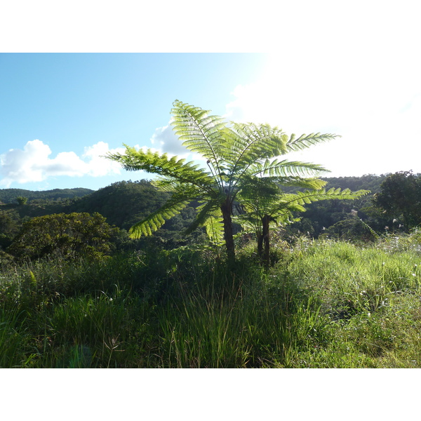 Picture New Caledonia Canala to La Foa road 2010-05 43 - Center Canala to La Foa road