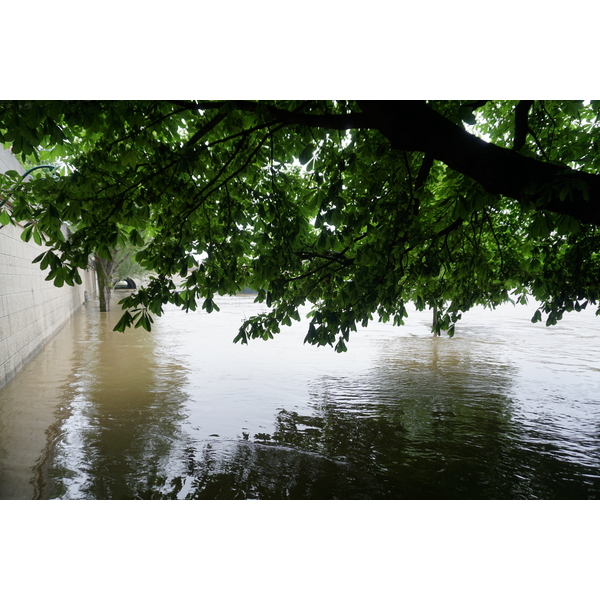 Picture France Paris Seine river 2016-06 37 - Tours Seine river