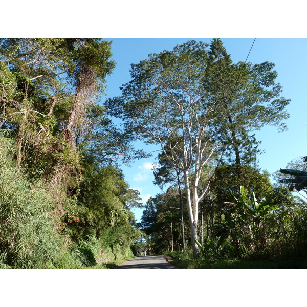 Picture New Caledonia Canala to La Foa road 2010-05 26 - Discovery Canala to La Foa road