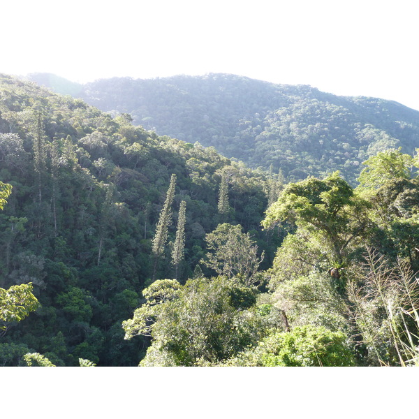 Picture New Caledonia Canala to La Foa road 2010-05 51 - Discovery Canala to La Foa road