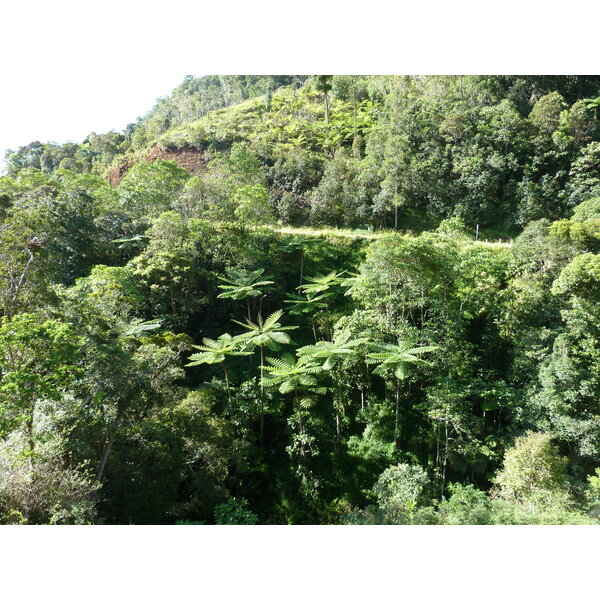 Picture New Caledonia Canala to La Foa road 2010-05 45 - Tour Canala to La Foa road