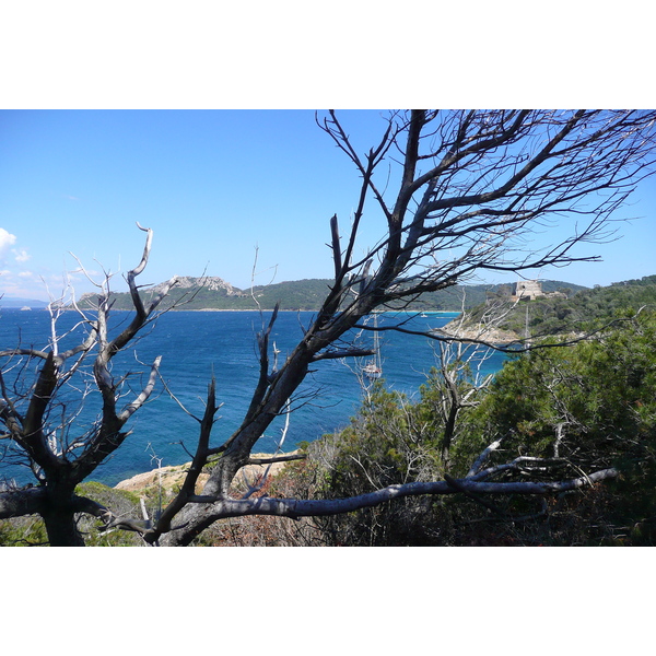 Picture France Porquerolles Island Pointe du Lequin 2008-05 36 - Tour Pointe du Lequin