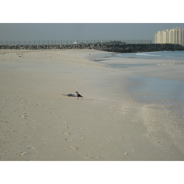 Picture United Arab Emirates Dubai Jumeirah Beach 2007-03 33 - History Jumeirah Beach