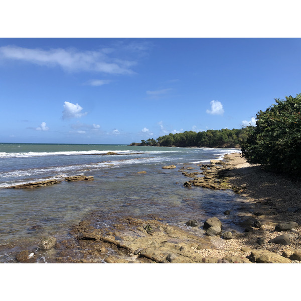 Picture Guadeloupe Clugny Beach 2021-02 10 - Around Clugny Beach