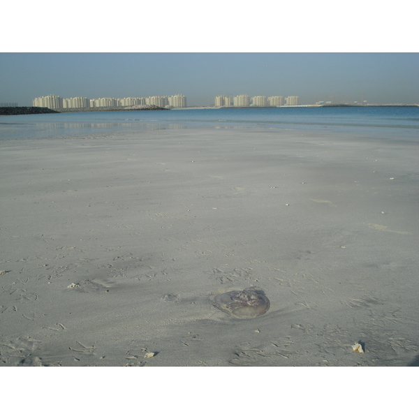 Picture United Arab Emirates Dubai Jumeirah Beach 2007-03 16 - Center Jumeirah Beach