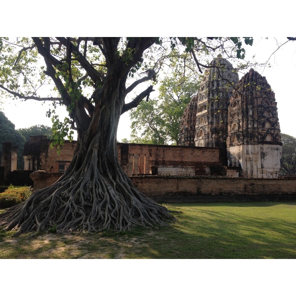 Picture Thailand Sukhothai 2014-02 30 - Tours Sukhothai