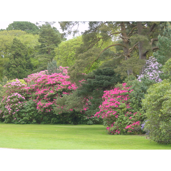 Picture Ireland Kerry Killarney National Park Muckross House 2004-05 16 - History Muckross House