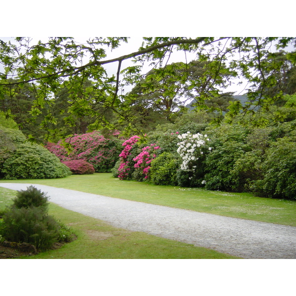 Picture Ireland Kerry Killarney National Park Muckross House 2004-05 17 - Tour Muckross House