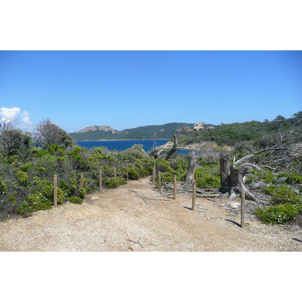 Picture France Porquerolles Island Pointe du Lequin 2008-05 37 - Discovery Pointe du Lequin