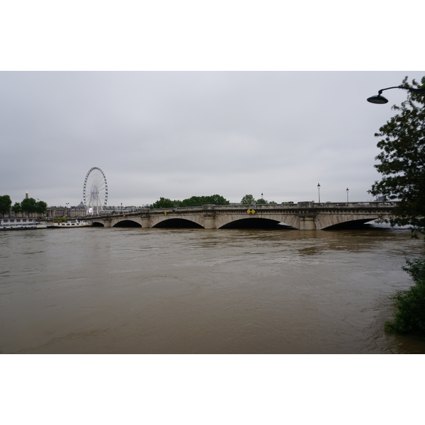 Picture France Paris Seine river 2016-06 74 - Tours Seine river