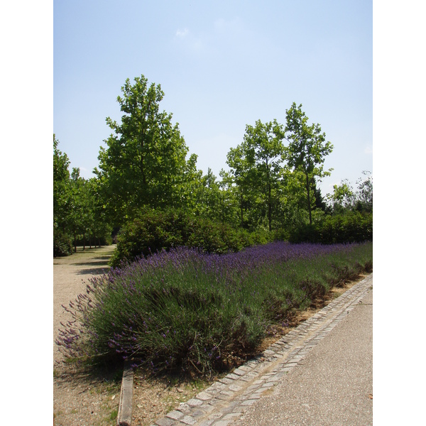 Picture France Villeneuve La Garenne Parc des Chanteraines 2007-07 71 - History Parc des Chanteraines