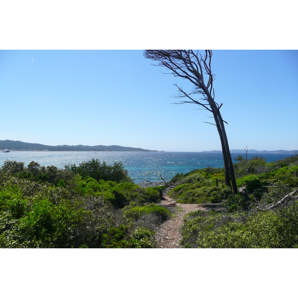 Picture France Porquerolles Island Pointe du Lequin 2008-05 27 - Around Pointe du Lequin