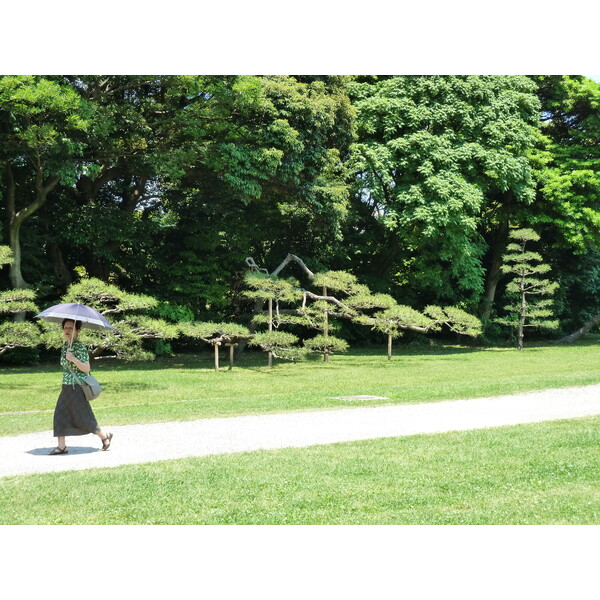 Picture Japan Tokyo Hama rikyu Gardens 2010-06 17 - Center Hama rikyu Gardens