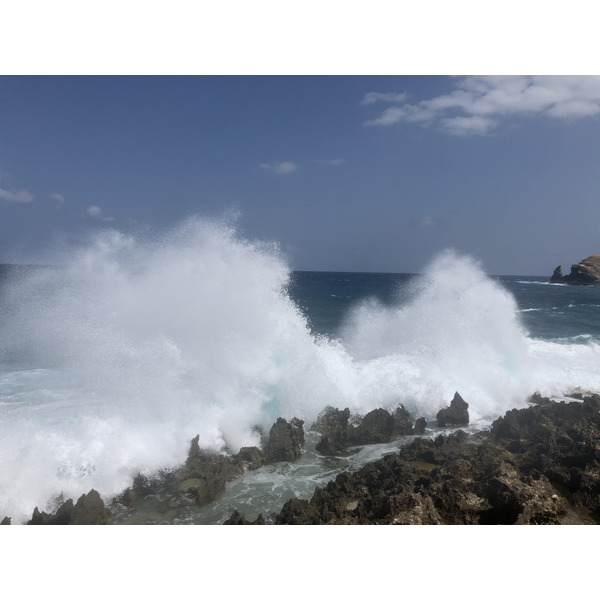 Picture Guadeloupe Castle Point 2021-02 317 - Around Castle Point