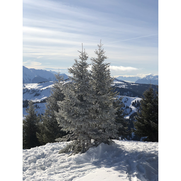 Picture France Praz sur Arly 2019-12 476 - Tours Praz sur Arly