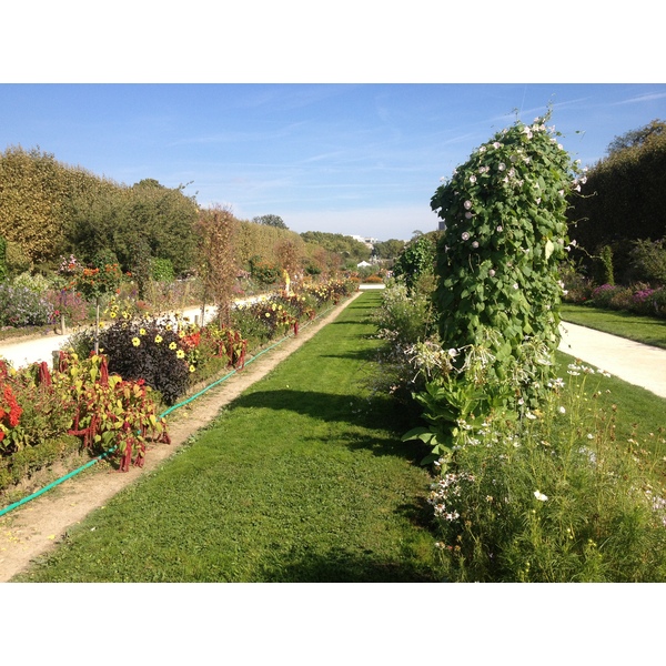 Picture France Paris Jardin des Plantes 2014-09 17 - Tours Jardin des Plantes