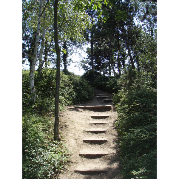 Picture France Villeneuve La Garenne Parc des Chanteraines 2007-07 49 - Tour Parc des Chanteraines