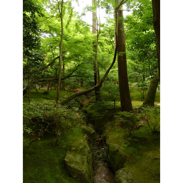 Picture Japan Kyoto Ginkakuji Temple(Silver Pavilion) 2010-06 74 - History Ginkakuji Temple(Silver Pavilion)