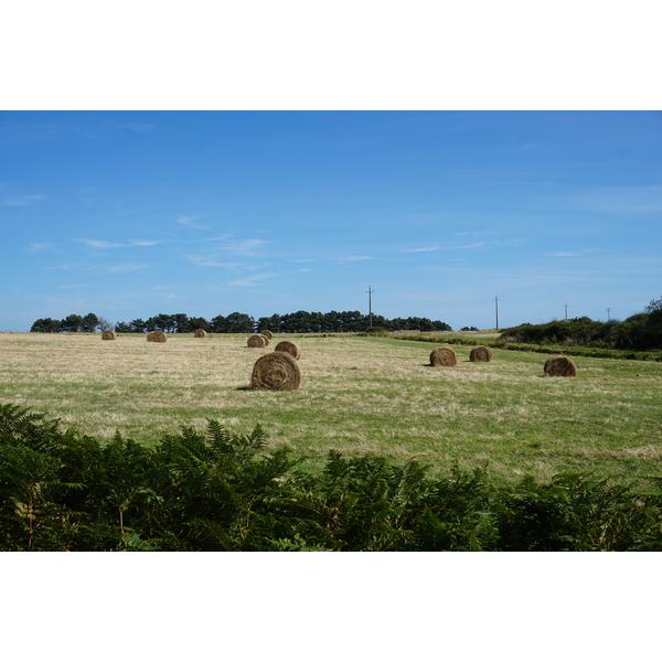 Picture France Belle-Ile 2016-08 227 - Discovery Belle-Ile