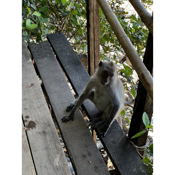 Picture Thailand Krabi Ao Nang 2023-01 97 - Tour Ao Nang