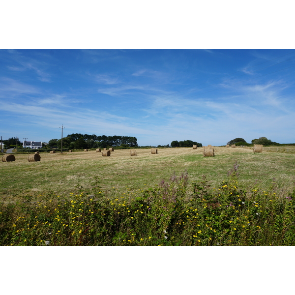 Picture France Belle-Ile 2016-08 237 - Around Belle-Ile